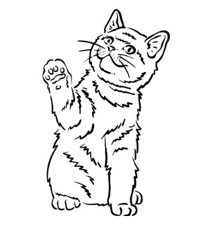 TommyAndFurry logo
