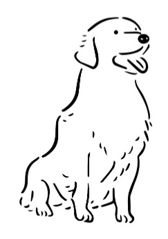 TommyAndFurry logo